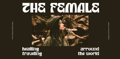 Nerdos Folume Font Poster 4