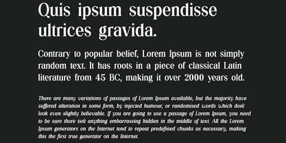 Silvex Editorial Font Poster 2