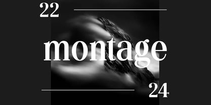 Silvex Editorial Font Poster 6