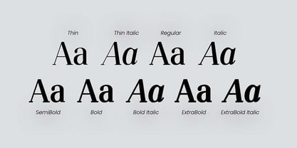 Silvex Editorial Font Poster 5