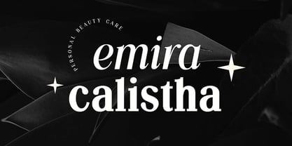 Silvex Editorial Font Poster 4