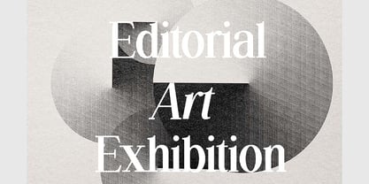 Silvex Editorial Font Poster 3