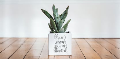 Sailyme Font Poster 2