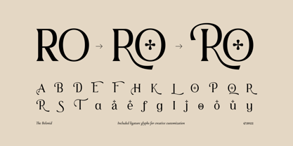 The Belonid Font Poster 2