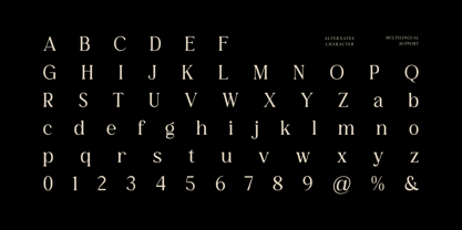 The Belonid Font Poster 5