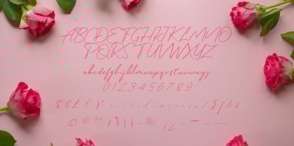 Mrs. Canary Belliany Font Poster 5