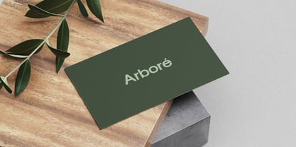 Melgar Display Font Poster 4