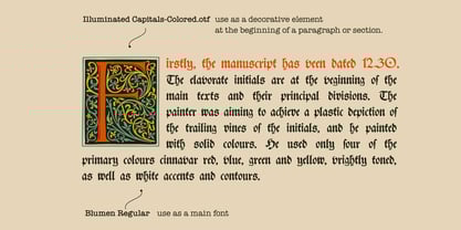 Venice Dropcaps Font Poster 3