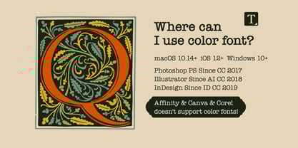 Venice Dropcaps Font Poster 4