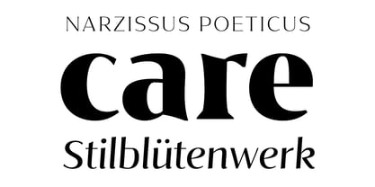 Style Bloom Font Poster 3