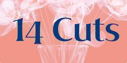 Style Bloom Font Poster 10