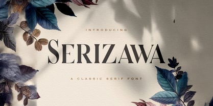 Serizawa Font Poster 1