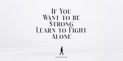 Serizawa Font Poster 6