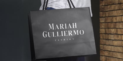 Serizawa Font Poster 7