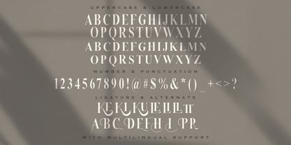 Serizawa Font Poster 8