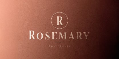 Serizawa Font Poster 3