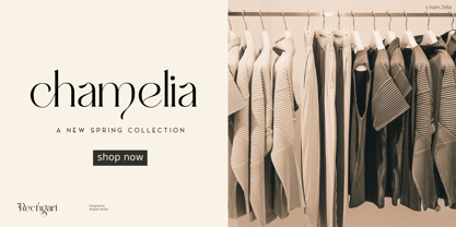 Al Rechgart Font Poster 2