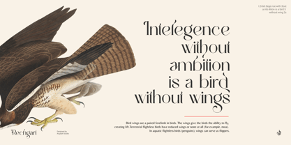 Al Rechgart Font Poster 9