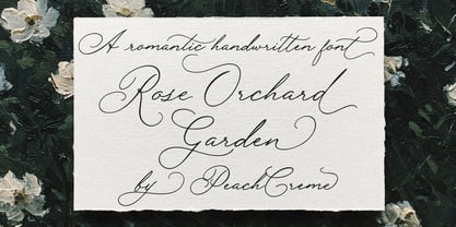 Rose Orchard Garden Bold Font Poster 1