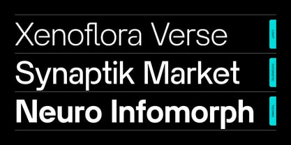 Terminal Guise Font Poster 4