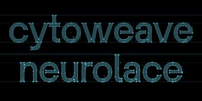 Terminal Guise Font Poster 8