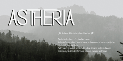 Ronchema Font Poster 4