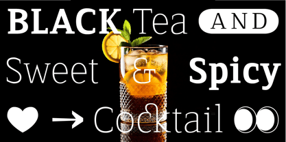 Serif Modern Font Poster 1