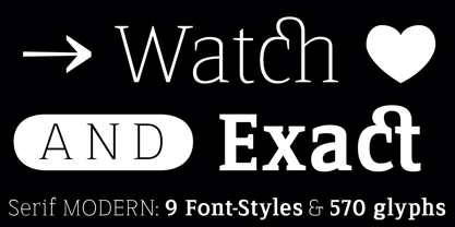 Serif Modern Font Poster 8