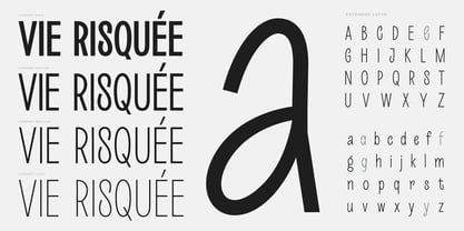 Loogert Font Poster 3