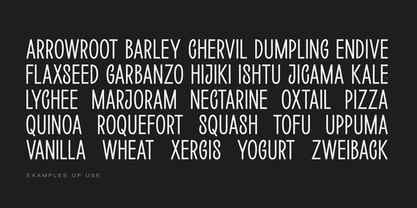 Loogert Font Poster 6