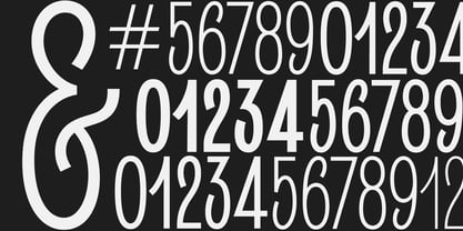 Loogert Font Poster 7