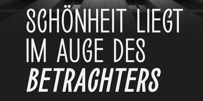 Loogert Font Poster 14