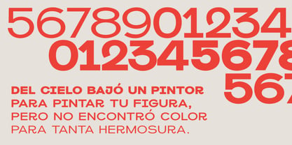 Rongert Font Poster 13
