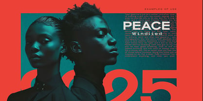 Rongert Font Poster 14