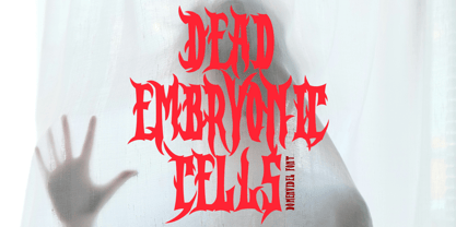 Domenvidel Font Poster 8