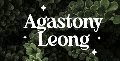 Gardigly Font Poster 7