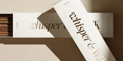 SLTF The Silver Font Poster 15