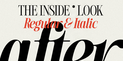 SLTF The Silver Font Poster 8