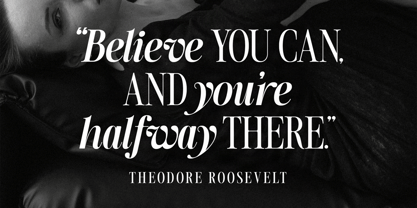 SLTF The Silver Font Poster 10