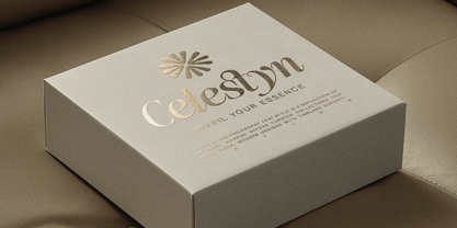 SLTF The Silver Font Poster 13