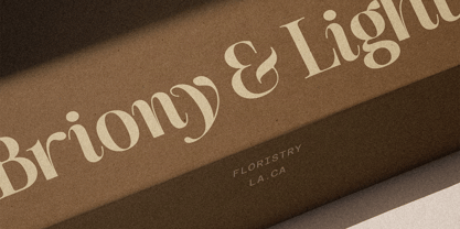 SLTF The Silver Font Poster 9