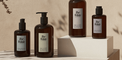 SLTF The Silver Font Poster 11