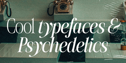 SLTF The Silver Font Poster 7