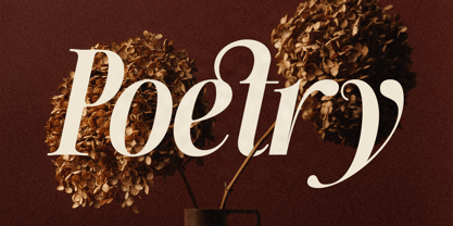 SLTF The Silver Font Poster 5