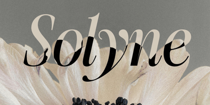 SLTF The Silver Font Poster 12