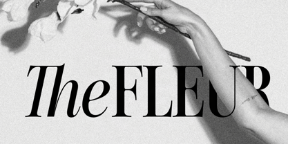 SLTF The Silver Font Poster 2