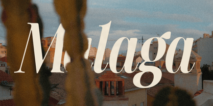 SLTF The Silver Font Poster 14