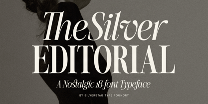 SLTF The Silver Font Poster 1