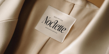 SLTF The Silver Font Poster 6