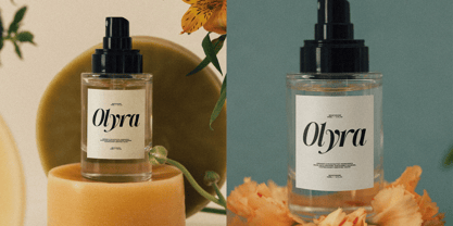 SLTF The Silver Font Poster 3